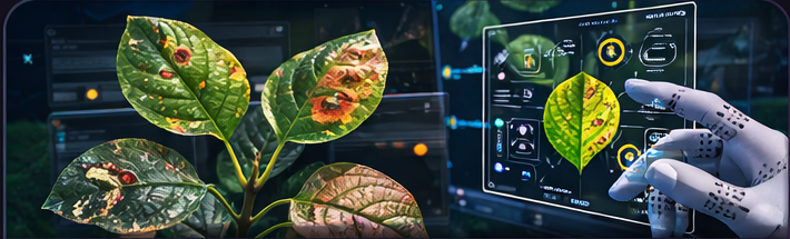 Plant Disease Detection